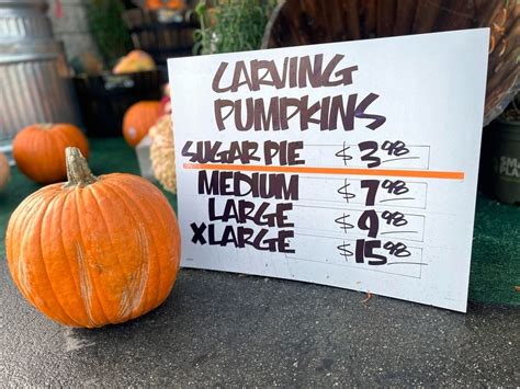 In most cases, the price of pumpkins at a pumpkin patch is set, and negotiating may not be an option. However, if you’re purchasing a large quantity of pumpkins, it doesn’t hurt to ask if there’s any possibility of a discount. 4. Do pumpkin patches charge admission fees? Some pumpkin patches may charge an admission fee, while others may ... 